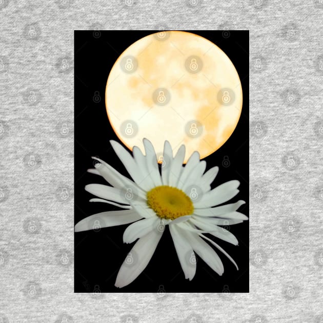 "Moon Picked A Daisy: art print products by Mzzart
